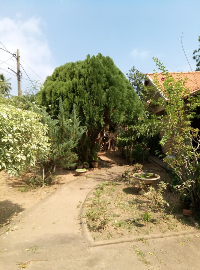 Leisure In Гале Екстериор снимка
